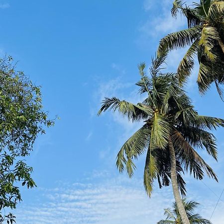 Jilan Homestay Bentota Eksteriør billede
