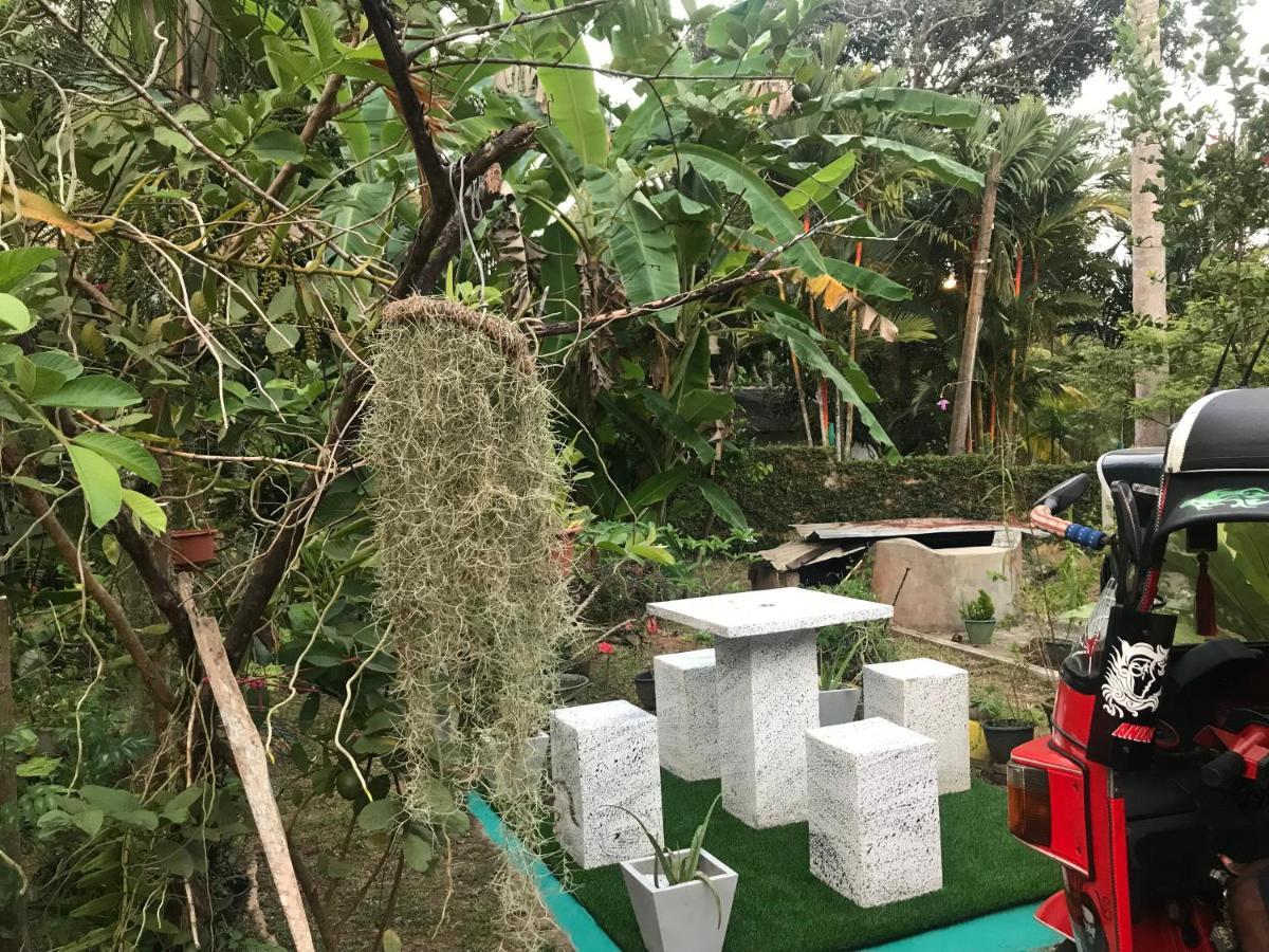 Jilan Homestay Bentota Eksteriør billede