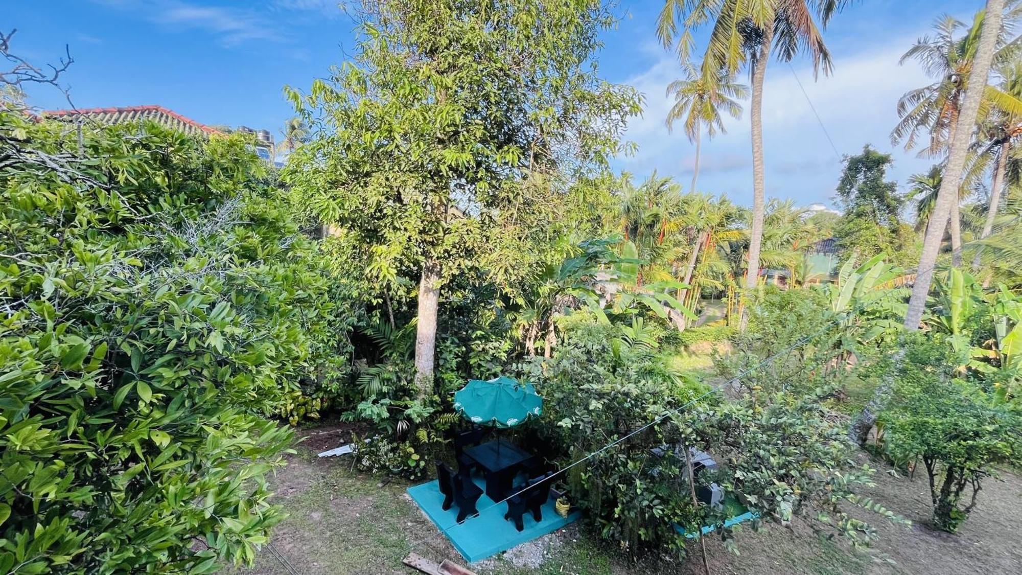 Jilan Homestay Bentota Eksteriør billede
